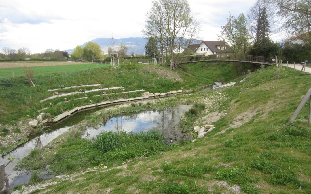 Renaturation de la Seymaz, Secteur Pont Bochet – Thônex/Vandœuvres (Suisse)