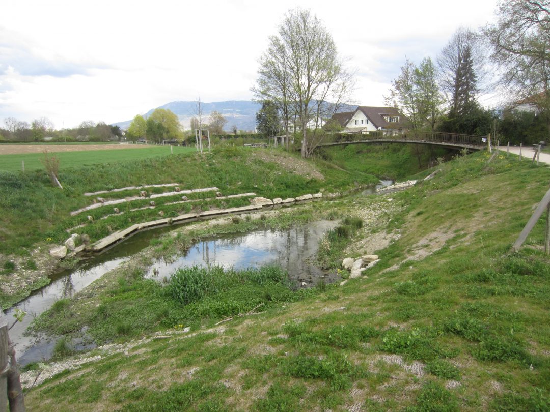 Renaturation de la Seymaz, Secteur Pont Bochet – Thônex/Vandœuvres (Suisse)