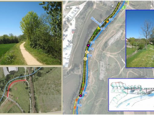 Digue de la Sanne – Salaise sur Sanne (38) – France