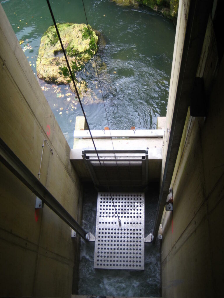 Ascenseur-poisson_01