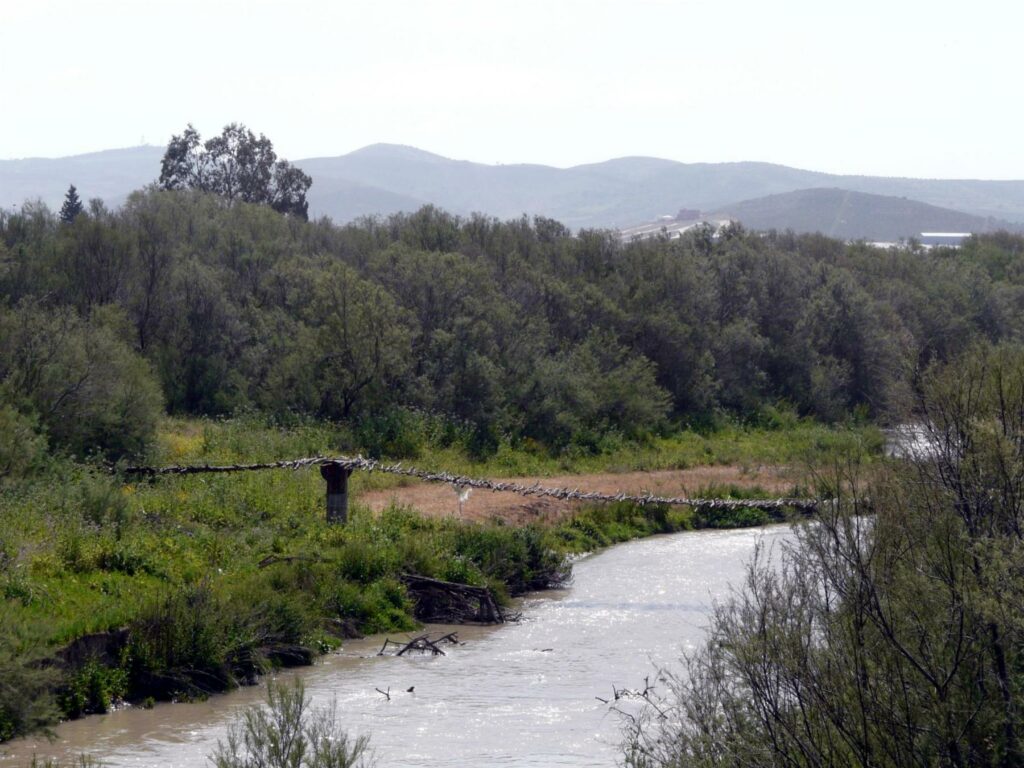 Méjerda_09-lit-Mejerda
