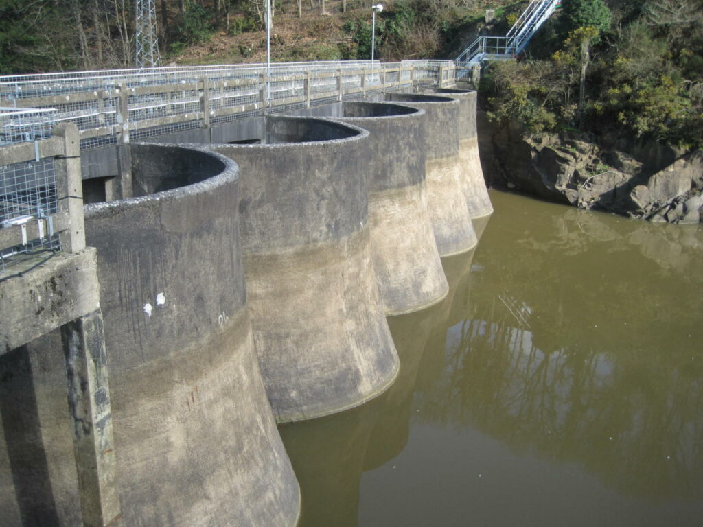 Rophémel_06-Détail_parement_amont